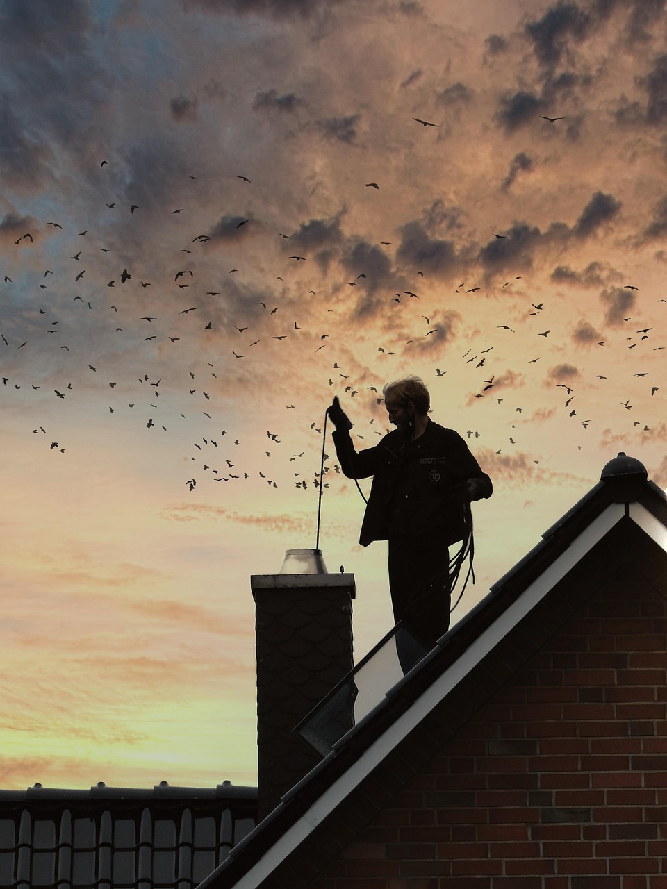 chimney sweep, chimney, roof, cleaning, nature, work, sky, birds, sunset, worker, man, house, dusk, lucky charm